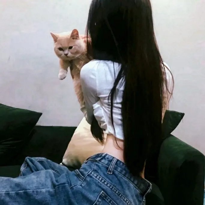 猫和金丝雀