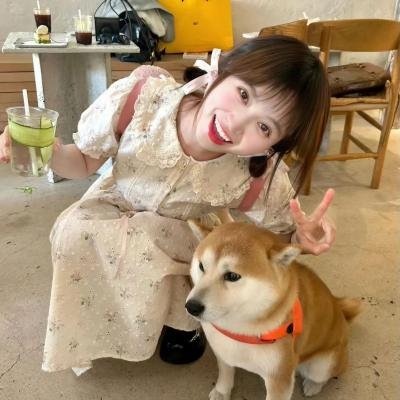 霹雳情